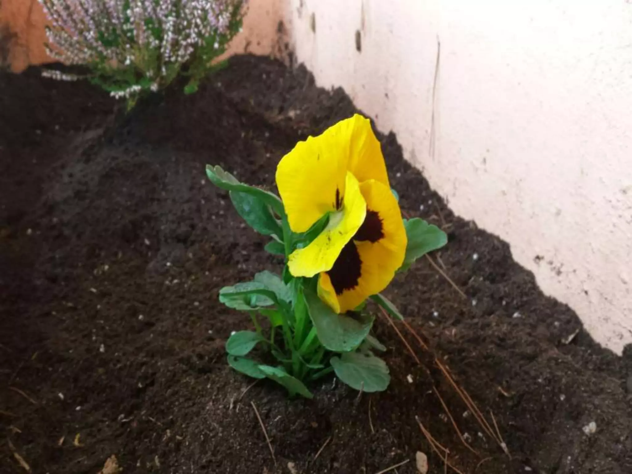 ΠΕΡΙΒΑΛΛΟΝΤΙΚΗ ΕΒΔΟΜΑΔΑ