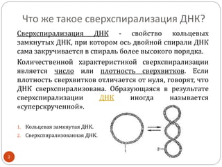 DNA | PPT