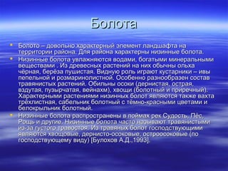 ББооллооттаа 
 ББооллооттоо –– ддооввооллььнноо ххааррааккттееррнныыйй ээллееммееннтт ллааннддшшааффттаа ннаа 
ттееррррииттооррииии ррааййооннаа.. ДДлляя ррааййооннаа ххааррааккттееррнныы ннииззиинннныыее ббооллооттаа.. 
 ННииззиинннныыее ббооллооттаа ууввллаажжнняяююттссяя ввооддааммии,, ббооггааттыыммии ммииннееррааллььнныыммии 
ввеещщеессттввааммии .. ИИзз ддррееввеесснныыхх рраассттеенниийй ннаа нниихх ооббыыччнныы ооллььххаа 
ччёёррннааяя,, ббееррёёззаа ппуушшииссттааяя.. ВВииддннууюю рроолльь ииггррааюютт ккууссттааррннииккии –– ииввыы 
ппееппееллььнноойй ии ррооззммааррииннооллииссттнноойй.. ООссооббеенннноо ррааззннооооббррааззеенн ссооссттаавв 
ттррааввяяннииссттыыхх рраассттеенниийй.. ООббииллььнныы ооссооккии ((ддееррннииссттааяя,, ооссттррааяя,, 
ввззддууттааяя,, ппууззыыррччааттааяя,, ввееййннааххмм)),, ххввоощщии ((ббооллооттнныыйй ии ппррииррееччнныыйй)).. 
ХХааррааккттееррнныыммии рраассттеенниияяммии ннииззиинннныыхх ббооллоотт яяввлляяююттссяя ттааккжжее ввааххттаа 
ттррёёххллииссттннааяя,, ссааббееллььнниикк ббооллооттнныыйй сс ттёёммнноо--ккрраасснныыммии ццввееттааммии ии 
ббееллооккррыыллььнниикк ббооллооттнныыйй.. 
 ННииззиинннныыее ббооллооттаа рраассппррооссттррааннеенныы вв ппооййммаахх рреекк ССууддооссттьь,, ППёёсс,, 
РРоощщьь ии ддррууггииее.. ННииззиинннныыее ббооллооттаа ччаассттоо ннааззыыввааюютт ттррааввяяннииссттыыммии 
иизз--ззаа ггууссттооггоо ттррааввооссттоояя.. ИИзз ттррааввяянныыхх ббооллоотт ггооссппооддссттввууюющщииммии 
яяввлляяююттссяя ххввоощщооввыыее,, ддееррннииссттоо--ооссооккооввыыее,, ооссттррооооссооккооввыыее ((ппоо 
ггооссппооддссттввууюющщееммуу ввииддуу)) [[ББууллооххоовв АА..ДД..,,11999933]].. 
 