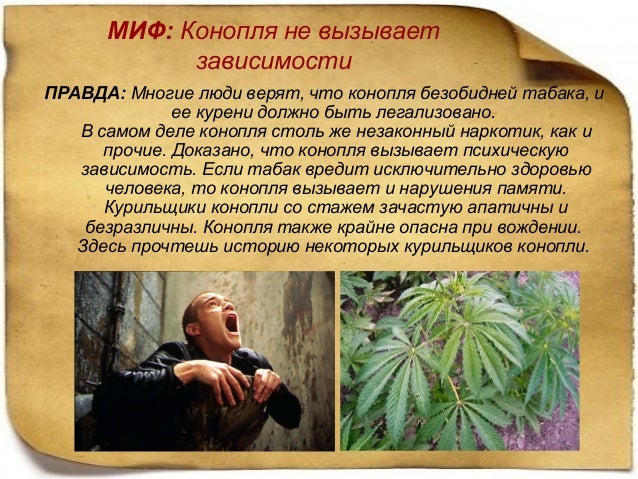 правда о разрешенных наркотиках правда о разрешенных наркотиках