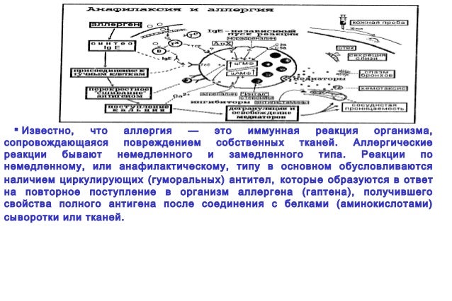 Механизм аллергической реакции немедленного типа. Шокпозная реакция и немедленного типа.