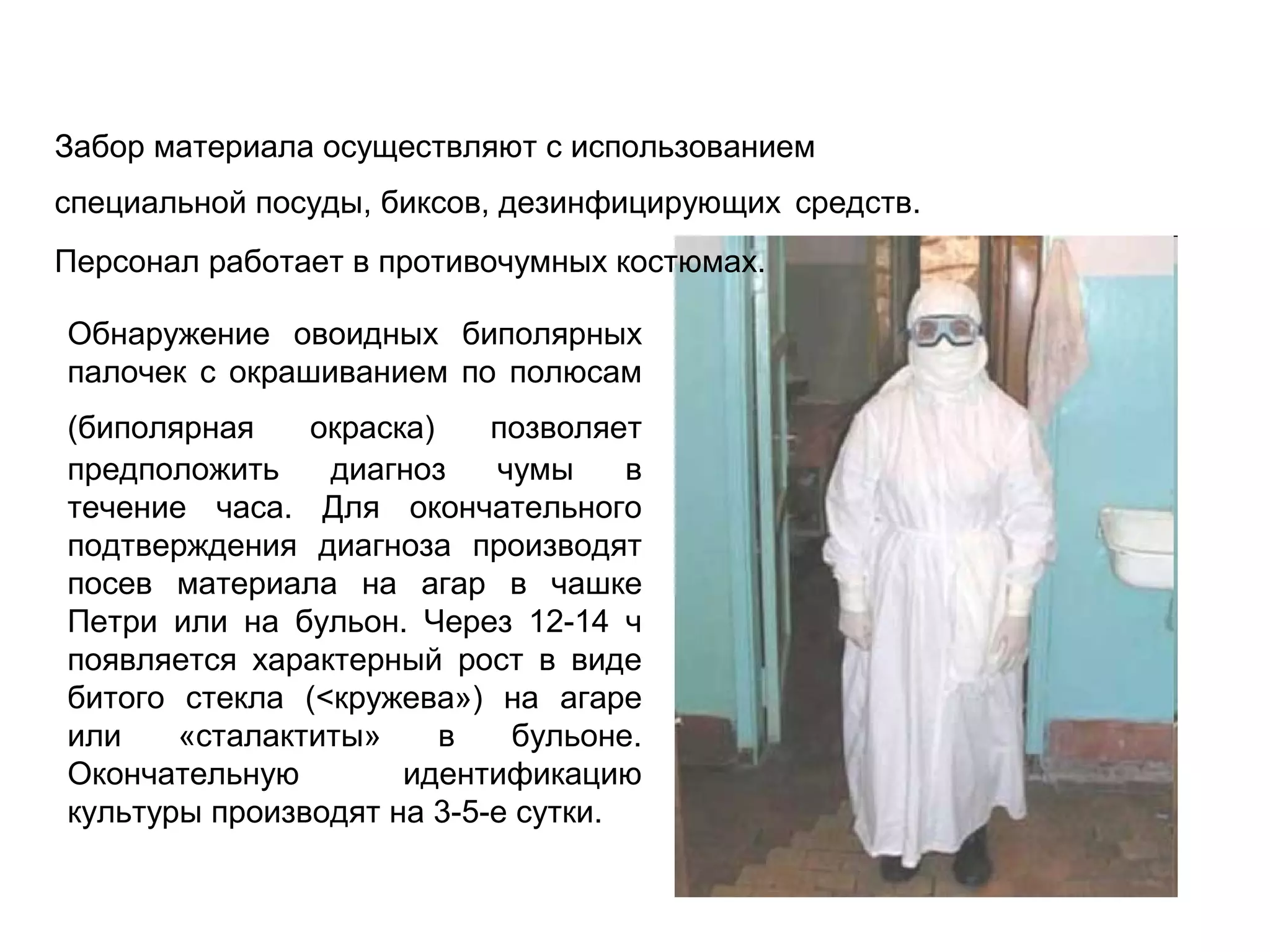 Забор материала осуществляют с использованием 
специальной посуды, биксов, дезинфицирующих средств. 
Персонал работает в противочумных костюмах. 
Обнаружение овоидных биполярных 
палочек с окрашиванием по полюсам 
(биполярная окраска) позволяет 
предположить диагноз чумы в 
течение часа. Для окончательного 
подтверждения диагноза производят 
посев материала на агар в чашке 
Петри или на бульон. Через 12-14 ч 
появляется характерный рост в виде 
битого стекла (<кружева») на агаре 
или «сталактиты» в бульоне. 
Окончательную идентификацию 
культуры производят на 3-5-е сутки. 
 