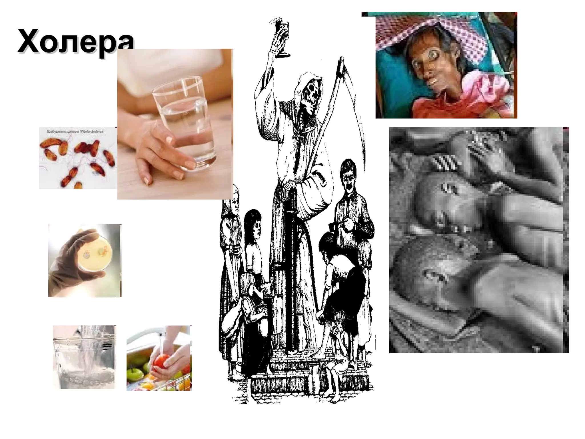 ХХооллеерраа 
 