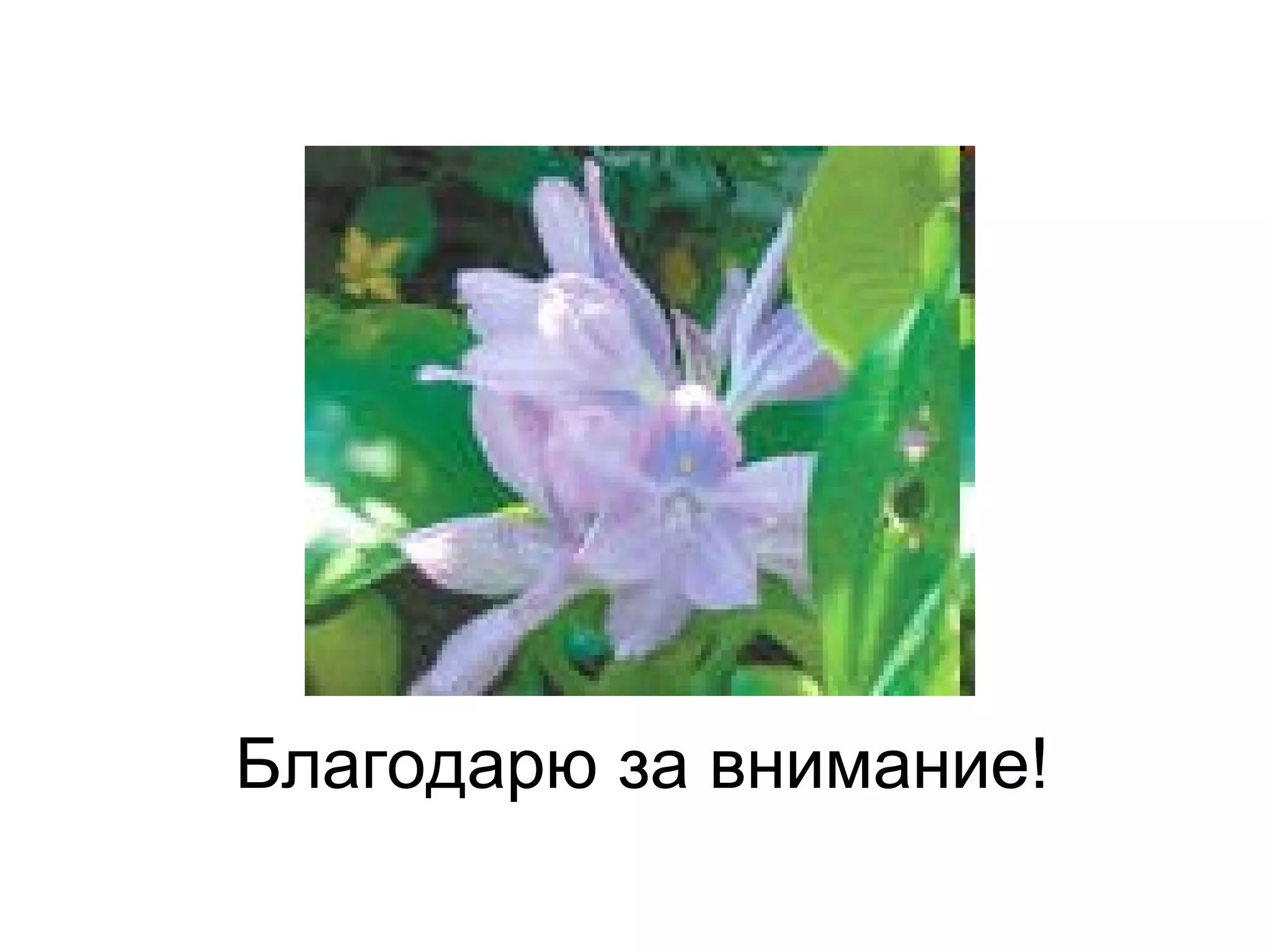 Благодарю за внимание! 
