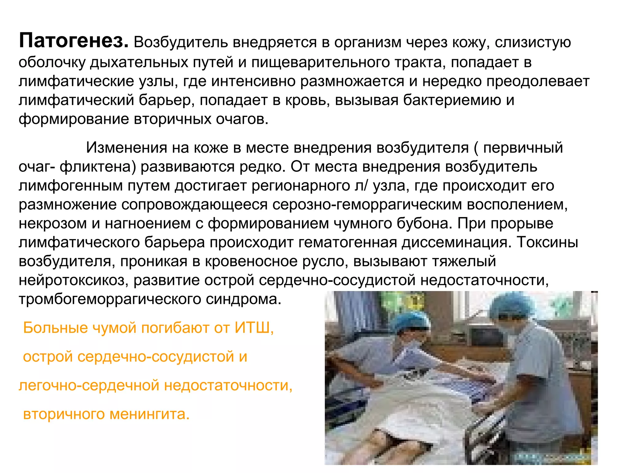 Патогенез. Возбудитель внедряется в организм через кожу, слизистую 
оболочку дыхательных путей и пищеварительного тракта, попадает в 
лимфатические узлы, где интенсивно размножается и нередко преодолевает 
лимфатический барьер, попадает в кровь, вызывая бактериемию и 
формирование вторичных очагов. 
Изменения на коже в месте внедрения возбудителя ( первичный 
очаг- фликтена) развиваются редко. От места внедрения возбудитель 
лимфогенным путем достигает регионарного л/ узла, где происходит его 
размножение сопровождающееся серозно-геморрагическим восполением, 
некрозом и нагноением с формированием чумного бубона. При прорыве 
лимфатического барьера происходит гематогенная диссеминация. Токсины 
возбудителя, проникая в кровеносное русло, вызывают тяжелый 
нейротоксикоз, развитие острой сердечно-сосудистой недостаточности, 
тромбогеморрагического синдрома. 
Больные чумой погибают от ИТШ, 
острой сердечно-сосудистой и 
легочно-сердечной недостаточности, 
вторичного менингита. 
 