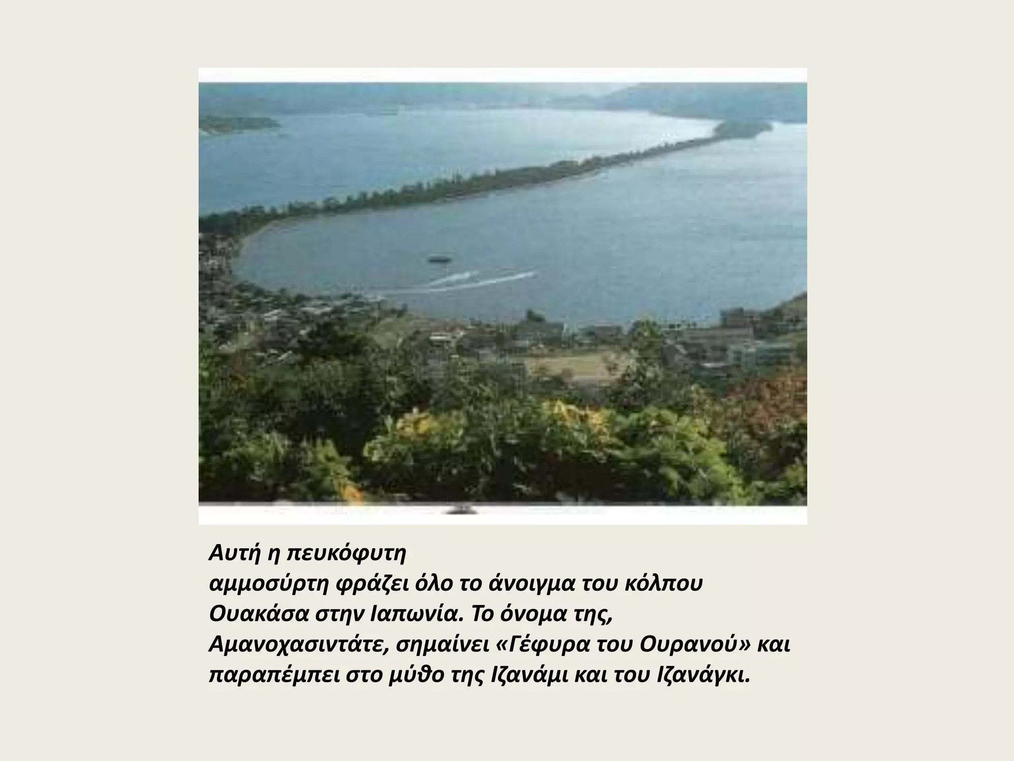 Αυτή η πευκόφυτη 
αμμοσύρτη φράζει όλο το άνοιγμα του κόλπου 
Ουακάσα στην Ιαπωνία. Το όνομα της, 
Αμανοχασιντάτε, σημαίνει «Γέφυρα του Ουρανού» και 
παραπέμπει στο μύθο της Ιζανάμι και του Ιζανάγκι. 
 