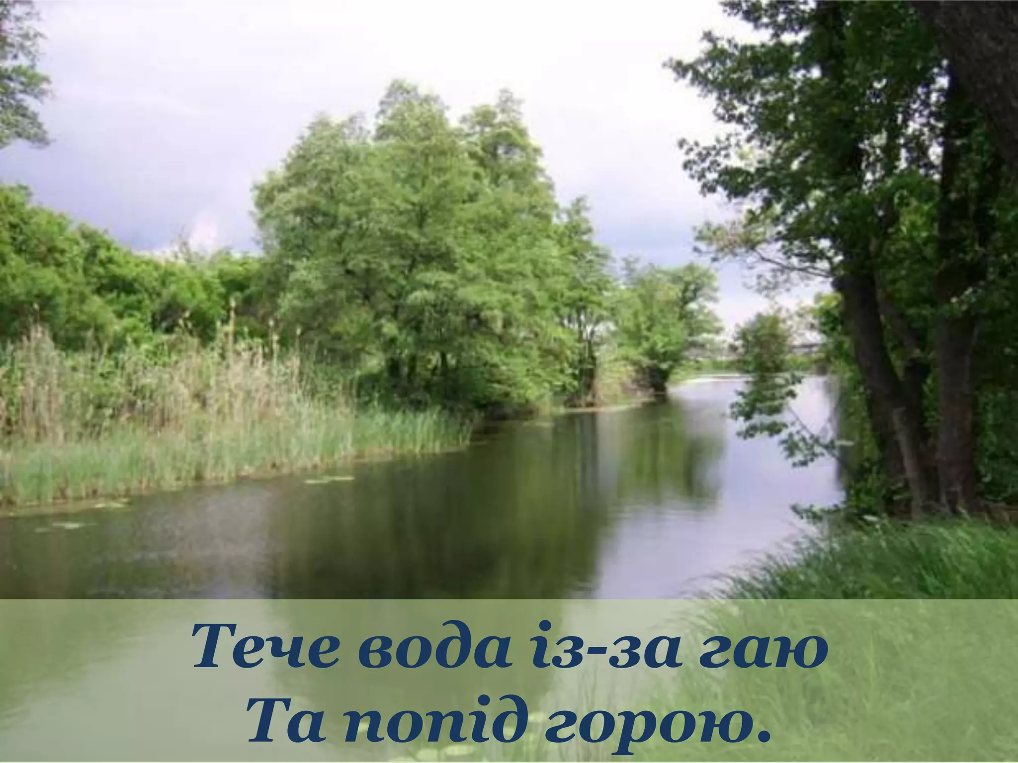 Тече вода із-за гаю 
Та попід горою. 
 