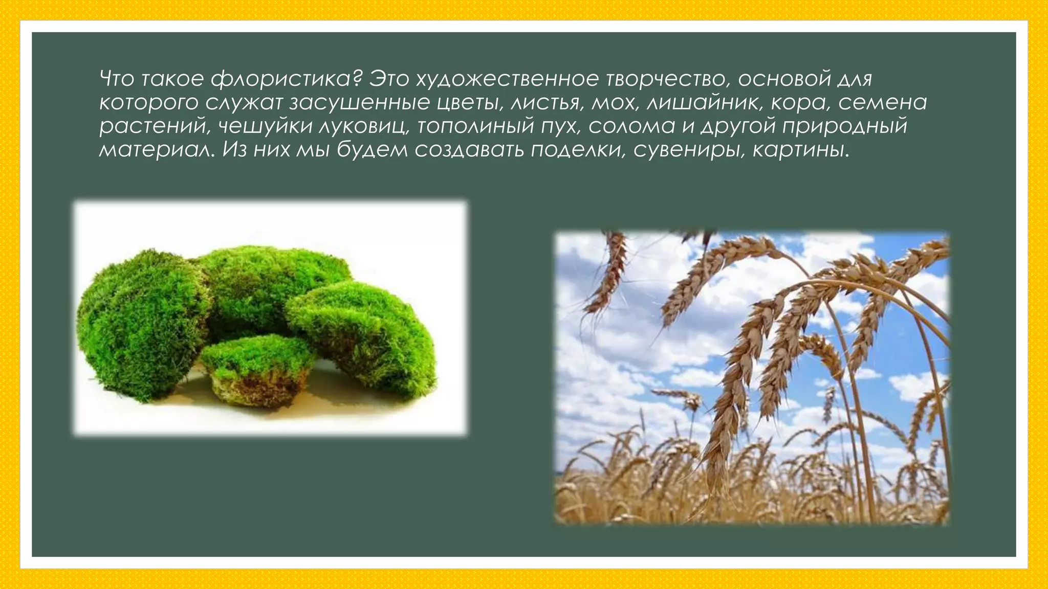 Что такое флористика? Это художественное творчество, основой для 
которого служат засушенные цветы, листья, мох, лишайник, кора, семена 
растений, чешуйки луковиц, тополиный пух, солома и другой природный 
материал. Из них мы будем создавать поделки, сувениры, картины. 
 