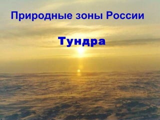 Природные зоны России 
Тундра 
 
