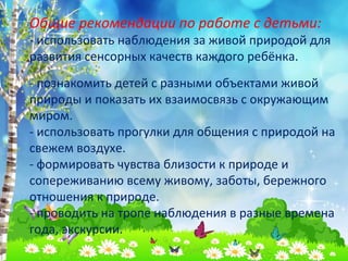 Общие рекомендации по работе с детьми: 
- использовать наблюдения за живой природой для 
развития сенсорных качеств каждого ребёнка. 
- познакомить детей с разными объектами живой 
природы и показать их взаимосвязь с окружающим 
миром. 
- использовать прогулки для общения с природой на 
свежем воздухе. 
- формировать чувства близости к природе и 
сопереживанию всему живому, заботы, бережного 
отношения к природе. 
- проводить на тропе наблюдения в разные времена 
года, экскурсии. 
 