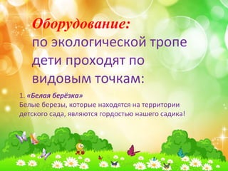 Оборудование: 
по экологической тропе 
дети проходят по 
видовым точкам: 
1. «Белая берёзка» 
Белые березы, которые находятся на территории 
детского сада, являются гордостью нашего садика! 
 