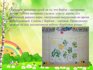 Обращала внимание детей на то, что берёза - лиственное 
дерево. Особое внимание уделяла стволу дерева, его 
необычной окраске коры, тактильным ощущениям во время 
прикосновений. Семена у берёзки – серёжки. Проводилось 
занятие по изо, коллективная работа «Берёзовая роща» 
 