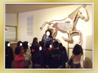 Από την επίσκεψη στο Κέντρο Προβολής Λόφου Αγ. Γεωργίου Κιλκίς