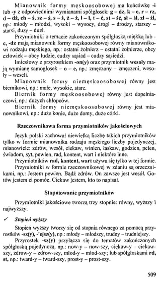 практический курс польского языка