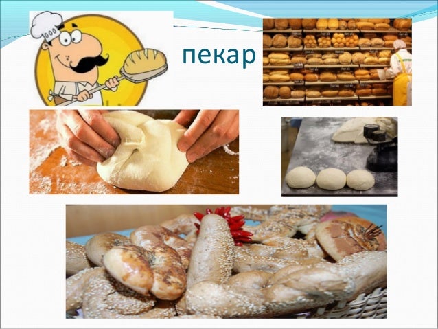Занимања људи