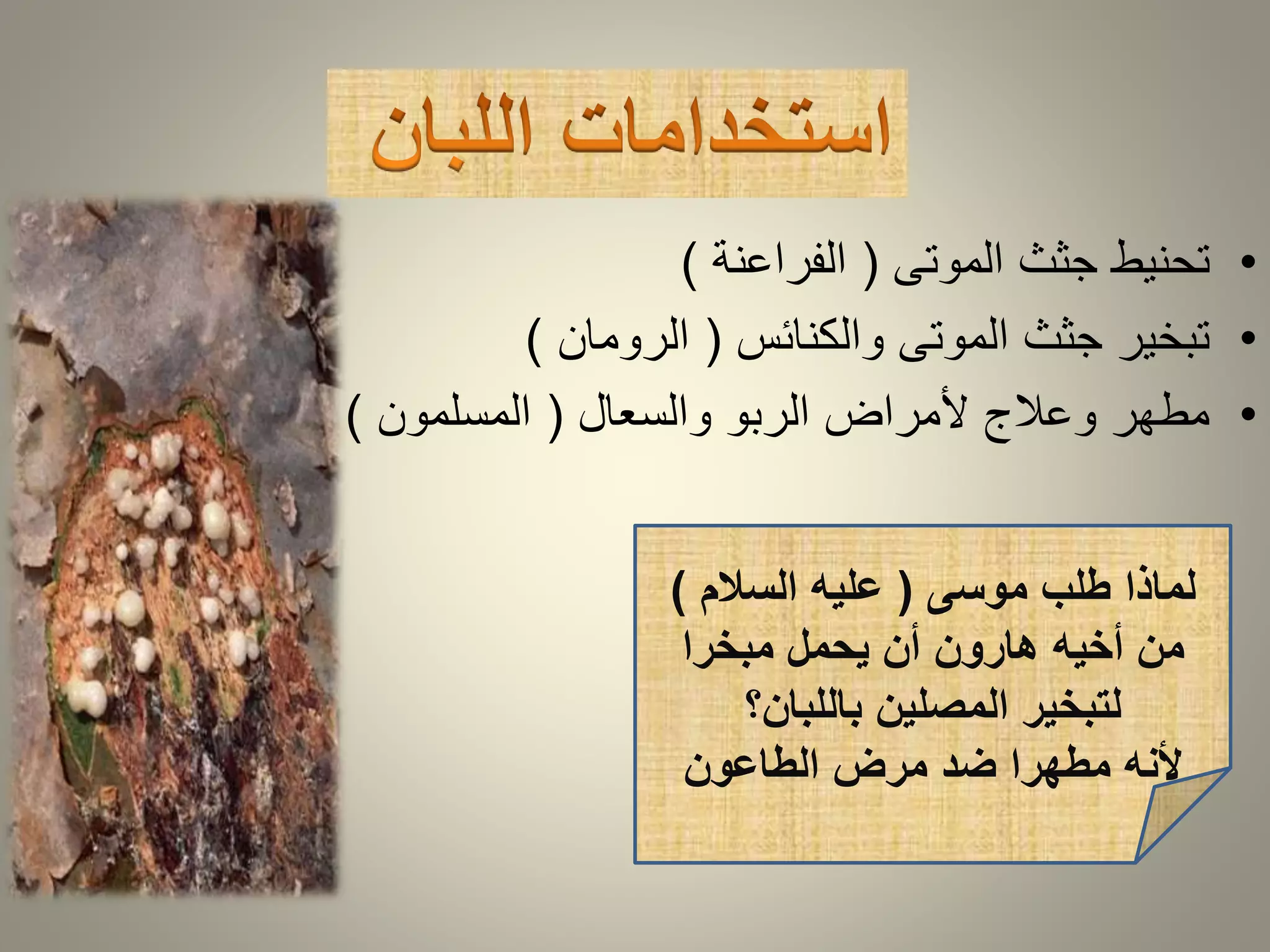 • تحنيط جثث الموتى ) الفراعنة ( 
• تبخير جثث الموتى والكنائس ) الرومان ( 
• مطهر وعلاج لأمراض الربو والسعال ) المسلمون ( 
لماذا طلب موسى ) عليه السلام ( 
من أخيه هارون أن يحمل مبخرا 
لتبخير المصلين باللبان؟ 
لأنه مطهرا ضد مرض الطاعون 
 