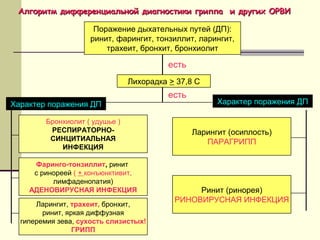 ААллггооррииттмм ддииффффееррееннццииааллььнноойй ддииааггннооссттииккии ггррииппппаа ии ддррууггиихх ООРРВВИИ 
Поражение дыхательных путей (ДП): 
ринит, фарингит, тонзиллит, ларингит, 
трахеит, бронхит, бронхиолит 
есть 
Лихорадка > 37,8 С 
есть 
Характер поражения ДП Характер поражения ДП 
Бронхиолит ( удушье ) 
РЕСПИРАТОРНО- 
СИНЦИТИАЛЬНАЯ 
ИНФЕКЦИЯ 
Фаринго-тонзиллит, ринит 
с ринореей ( + конъюнктивит, 
лимфаденопатия) 
АДЕНОВИРУСНАЯ ИНФЕКЦИЯ 
Ларингит, трахеит, бронхит, 
ринит, яркая диффузная 
гиперемия зева, сухость слизистых! 
ГРИПП 
Ларингит (осиплость) 
ПАРАГРИПП 
Ринит (ринорея) 
РИНОВИРУСНАЯ ИНФЕКЦИЯ 
 