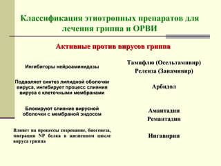 Классификация этиотропных препаратов для 
лечения гриппа и ОРВИ 
Активные ппррооттиивв ввииррууссоовв ггррииппппаа 
ИИннггииббииттооррыы ннееййррооааммииннииддааззыы 
ТТааммииффллюю ((ООссееллььттааммииввиирр)) 
РРееллееннззаа ((ЗЗааннааммииввиирр)) 
ППооддааввлляяеетт ссииннттеезз ллииппиидднноойй ооббооллооччккии 
ввииррууссаа,, ииннггииббииррууеетт ппррооццеесссс ссллиияянниияя 
ввииррууссаа сс ккллееттооччнныыммии ммееммббррааннааммии 
ААррббииддоолл 
ББллооккииррууюютт ссллиияяннииее ввиирруусснноойй 
ооббооллооччккии сс ммееммббрраанноойй ээннддооссоомм ААммааннттааддиинн 
РРееммааннттааддиинн 
ВВллиияяеетт ннаа ппррооццеессссыы ссооззррееввааннииее,, ббииооггееннееззаа,, 
ммииггррааццииии NNPP ббееллккаа вв жжииззннеенннноомм ццииккллее 
ввииррууссаа ггррииппппаа 
ИИннггааввиирриинн 
 