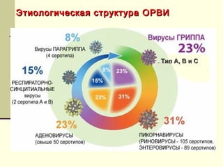 Этиологическая ссттррууккттуурраа ООРРВВИИ 
ТТиипп АА,, ВВ ии СС 
 