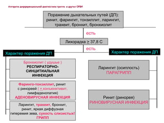 ААллггооррииттмм ддииффффееррееннццииааллььнноойй ддииааггннооссттииккии ггррииппппаа ии ддррууггиихх ООРРВВИИ 
Поражение дыхательных путей (ДП): 
ринит, фарингит, тонзиллит, ларингит, 
трахеит, бронхит, бронхиолит 
есть 
Лихорадка > 37,8 С 
есть 
Характер поражения ДП Характер поражения ДП 
Бронхиолит ( удушье ) 
РЕСПИРАТОРНО- 
СИНЦИТИАЛЬНАЯ 
ИНФЕКЦИЯ 
Фаринго-тонзиллит, ринит 
с ринореей ( + конъюнктивит, 
лимфаденопатия) 
АДЕНОВИРУСНАЯ ИНФЕКЦИЯ 
Ларингит, трахеит, бронхит, 
ринит, яркая диффузная 
гиперемия зева, сухость слизистых! 
ГРИПП 
Ларингит (осиплость) 
ПАРАГРИПП 
Ринит (ринорея) 
РИНОВИРУСНАЯ ИНФЕКЦИЯ 
 