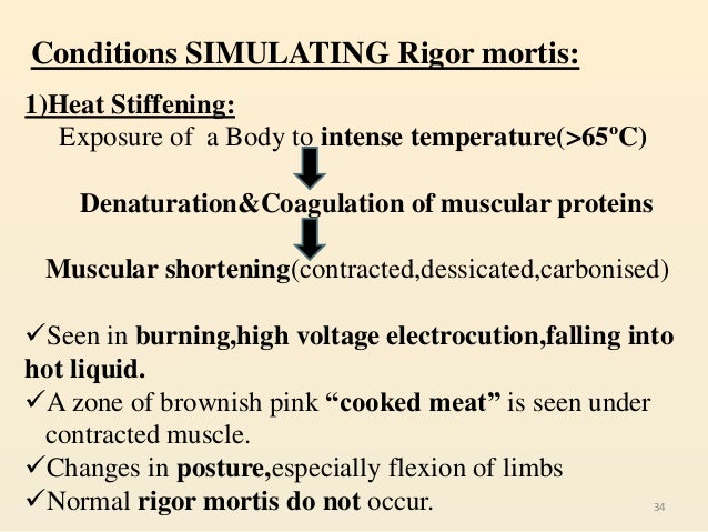 Rigor mortis in meat ppt presentation