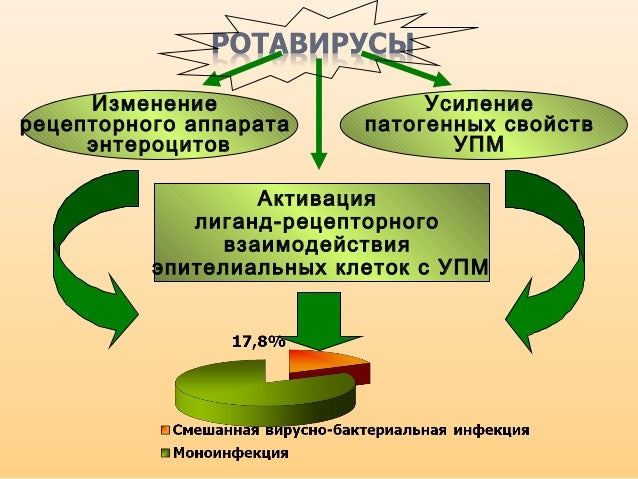 Ротавирус в волге