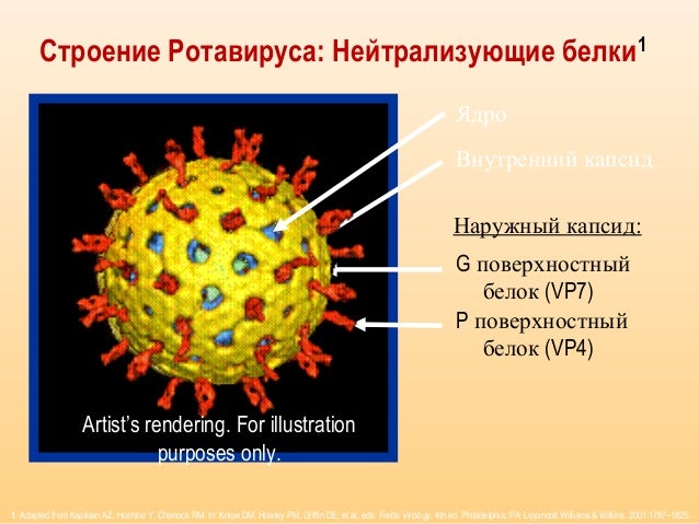 Ротавирус в волге
