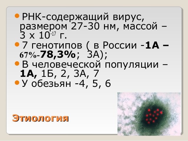 вгае | PPT