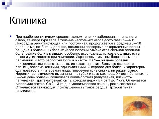 лептоспироз