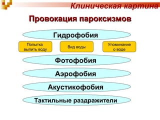 Клиническая картина 
ППррооввооккаацциияя ппааррооккссииззммоовв 
Гидрофобия 
Попытка 
выпить воду Вид воды Упоминание 
о воде 
Фотофобия 
Аэрофобия 
Акустикофобия 
Тактильные раздражители 
 