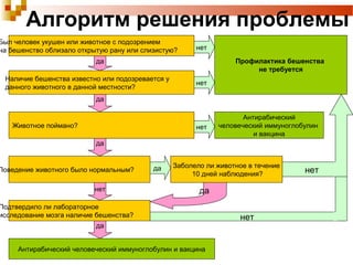Алгоритм решения проблемы 
Профилактика бешенства 
не требуется 
Антирабический 
человеческий иммуноглобулин 
и вакцина 
нет 
да 
да нет 
да 
нет 
да 
нет 
да 
нет 
Был человек укушен или животное с подозрением 
на бешенство облизало открытую рану или слизистую? 
Наличие бешенства известно или подозревается у 
данного животного в данной местности? 
Животное поймано? 
Поведение животного было нормальным? Заболело ли животное в течение 
10 дней наблюдения? 
Подтвердило ли лабораторное 
исследование мозга наличие бешенства? 
да 
нет 
Антирабический человеческий иммуноглобулин и вакцина 
 