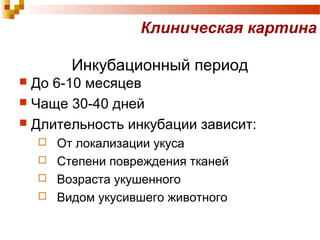 Клиническая картина 
Инкубационный период 
 До 6-10 месяцев 
 Чаще 30-40 дней 
 Длительность инкубации зависит: 
 От локализации укуса 
 Степени повреждения тканей 
 Возраста укушенного 
 Видом укусившего животного 
 