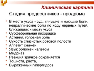 Клиническая картина 
Стадия предвестников - продрома 
 В месте укуса - зуд, тянущие и ноющие боли, 
невралгические боли по ходу нервных путей, 
ближайших к месту укуса 
 Субфебрильная лихорадка 
 Астения, головная боль 
 Сухость слизистых ротовой полости 
 Аппетит снижен 
 Язык обложен налетом 
 Мидриаз 
 Реакция зрачков сохраняется 
 Тошнота, рвота, 
 Выраженный гипергидроз 
 