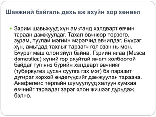 Шавжний байгаль дахь аж ахуйн хор хөнөөл 
 Зарим шавьжууд хүн амьтанд халдварт өвчин 
тараан дамжуулдаг. Тахал өвчнөөр төрвөгө, 
зурам, туулай мэтийн мэрэгчид өвчилдөг. Бүүрэг 
хүн, амьтдад тахлыг тараагч гол эзэн нь мөн. 
Бүүрэг маш олон зйүл байна. Гэрийн ялаа (Musca 
domestica) хүний гэр ахуйтай ямагт холбоотой 
байдаг тул янз бүрийн халдварт өвчнийг 
(туберкулез цусан суулга гэх мэт) ба паразит 
дугираг хорхой өндөгүүдийг дамжуулан тараана. 
Анафелекс төрлийн шумуулууд халуун хумхаа 
өвчнийг тараадаг зарэг олон жишээг дурьдаж 
болно. 
 