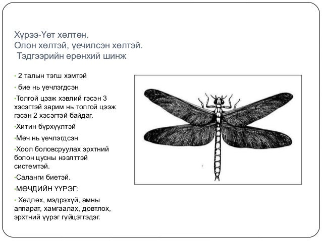 Шавьж түүний ангилал