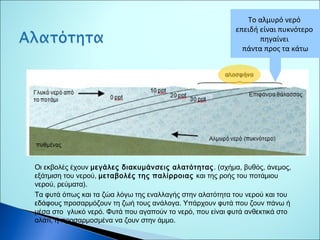 Το αλμυρό νερό 
επειδή είναι πυκνότερο 
πηγαίνει 
πάντα προς τα κάτω 
Οι εκβολές έχουν μεγάλες διακυμάνσεις αλατότητας. (σχήμα, βυθός, άνεμος, 
εξάτμιση του νερού, μεταβολές της παλίρροιας και της ροής του ποτάμιου 
νερού, ρεύματα). 
Tα φυτά όπως και τα ζώα λόγω της εναλλαγής στην αλατότητα του νερού και του 
εδάφους προσαρμόζουν τη ζωή τους ανάλογα. Υπάρχουν φυτά που ζουν πάνω ή 
μέσα στο γλυκό νερό. Φυτά που αγαπούν το νερό, που είναι φυτά ανθεκτικά στο 
αλάτι, ή προσαρμοσμένα να ζουν στην άμμο. 
 