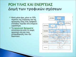  Κατά μέσο όρο, μόνο το 10% 
περίπου της ενέργειας και της 
οργανικής ύλης ενός τροφικού 
επιπέδου περνάει στο επόμενο 
υψηλότερο. 
 Τα οργανικά θρύμματα 
αποτελούνται από τη νεκρή 
οργανική ύλη και τους 
αποικοδομητές που την 
διασπούν. 
 