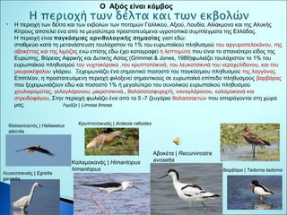 Ο Αξιός είναι κόμβος 
 Η περιοχή των δέλτα και των εκβολών των ποταμών Γαλλικού, Αξιού, Λουδία, Αλιάκμονα και της Αλυκής 
Κίτρους αποτελεί ένα από τα μεγαλύτερα προστατευόμενα υγροτοπικά συμπλέγματα της Ελλάδας. 
Η περιοχή είναι παγκόσμιας ορνιθολογικής σημασίας γιατί εδώ: 
σταθμεύει κατά τη μετανάστευση τουλάχιστον το 1% του ευρωπαϊκού πληθυσμού του αργυροπελεκάνου, της 
αβοκέττας και της λιμόζας ενώ επίσης εδώ έχει καταγραφεί η λεπτομύτα που είναι το σπανιότερο είδος της 
Ευρώπης, Βόρειας Αφρικής και Δυτικής Ασίας (Grimmet & Jones, 1989)φωλιάζει τουλάχιστον το 1% του 
ευρωπαϊκού πληθυσμού του νυχτοκόρακα ,του κρυπτοτσικνιά, του λευκοτσικνιά του νεροχελίδονου, και του 
μαυροκέφαλου γλάρου. Ξεχειμωνιάζει ένα σημαντικό ποσοστό του παγκόσμιου πληθυσμού της λαγγόνας. 
Επιπλέον, η προστατευόμενη περιοχή φιλοξενεί σημαντικούς σε ευρωπαϊκό επίπεδο πληθυσμούς βαρβάρας 
που ξεχειμωνιάζουν εδώ και ποσοστό 1% ή μεγαλύτερο του συνολικού ευρωπαϊκού πληθυσμού 
χουλιαρομύτας, γελογλάρονου, μικροτσικνιά,, θαλασσοσφυριχτή, νανογλάρονου, καλαμοκανά και 
στρειδοφάγου, Στην περιοχή φωλιάζει ένα από τα 5 -7 ζευγάρια θαλασσαετών που απαράγονται στη χώρα 
μας. Λιμόζα | Limosa limosa 
Θαλασσαετός | Haliaeetus 
albicilla 
Κρυπτοτσικνιάς | Ardeola ralloides 
Καλαμοκανάς | Himantopus 
himantopus 
Αβοκέτα | Recurvirostra 
avosetta 
Βαρβάρα Λευκοτσικνιάς | Egretta | Tadorna tadorna 
garzetta 
 