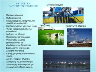 1. Παραγωγή Αλατιού 
2. Μυδοκαλλιέργεια 
3. Γεωργία(βαμβάκι, καλαμπόκι, και 
τριφύλλι και κυρίωςρύζι). 
4. Εμπλουτισμός των υπόγειων νερών 
5. Φίλτρο καθαρισμού(μέσω των 
καλαμώνων) 
6. Άρδευση και ύδρευση 
7. Προστασία από πλημμύρες 
8. Ρύθμιση του κλίματος 
(αποθηκεύοντας και 
ελευθερώνοντας θερμότητα) 
Συμβολή στην κτηνοτροφία 
9. Συμβολή στην αλιεία 
10. Καταφύγιο για τα μεταναστευτικά 
πουλιά 
11. Δυνατές τροφικές αλυσίδες 
12. Διατήρηση της βιοποικιλότητα 
13. Δυνατότητες στον άνθρωπο για 
αναψυχή, εκπαίδευση, έρευνα. 
Μυδοκαλλιέργεια 
ορυζώνες παραγωγή αλατιού 
 