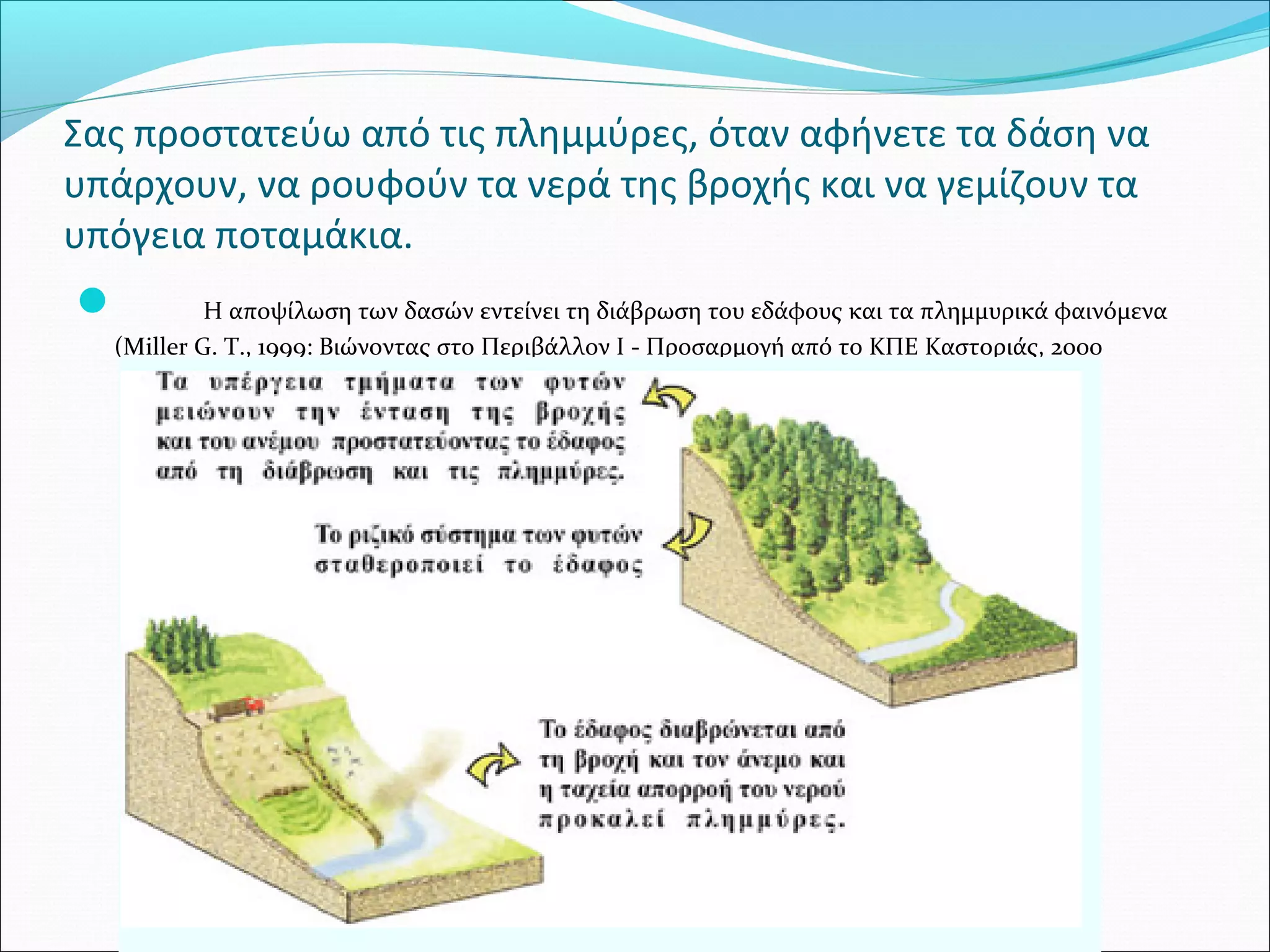 Σας προστατεύω από τις πλημμύρες, όταν αφήνετε τα δάση να 
υπάρχουν, να ρουφούν τα νερά της βροχής και να γεμίζουν τα 
υπόγεια ποταμάκια. 
 Η αποψίλωση των δασών εντείνει τη διάβρωση του εδάφους και τα πλημμυρικά φαινόμενα 
(Miller G. T., 1999: Βιώνοντας στο Περιβάλλον I - Προσαρμογή από το ΚΠΕ Καστοριάς, 2000 
 