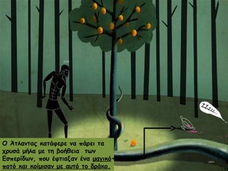 Ο Άτλαντας κατάφερε να πάρει τα 
χρυσά μήλα με τη βοήθεια των 
Εσπερίδων, που έφτιαξαν ένα μαγικό 
ποτό και κοίμισαν με αυτό το δράκο. 
 