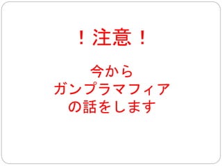両店の違い 
専門店： 
品揃えが少ないが、 
ガンダム以外のプラモデルが見られる 
安い＝＞ ＲＧが約３０００円 
デパート： 
品揃えがいい 
日本の他の玩具も揃っている 
高い＝＞ ＲＧが約８０００円 
 