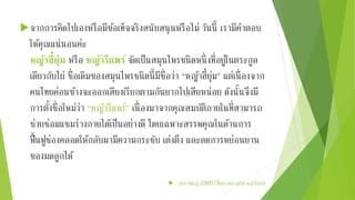 จากการคิดไปเองหรือมีขอ้เท็จจริงสนับสนุนหรือไม่ วันนี้ เรามีคา ตอบ 
ให้คุณแน่นอนค่ะ 
หญ้าฮี๋ยุ่ม หรือ หญ้ารีแพร์จัดเป็นสมุนไพรขนิดหนึ่งที่อยู่ในตระกูล 
เดียวกับไผ่ ชื่อเดิมของสมุนไพรชนิดนี้มีชื่อว่า “หญา้ฮี๋ยุ่ม” แต่เนื่องจาก 
คนไทยค่อนขา้งจะออกเสียงเรียกตามกันยากไปเสียหน่อย ดังนั้นจึงมี 
การตงั้ชื่อใหม่ว่า “หญา้รีแพร์” เนื่องมาจากคุณสมบัติภายในที่สามารถ 
ช่วยซ่อมแซมร่างกายไดเ้ป็นอย่างดี โดยเฉพาะสรรพคุณในดา้นการ 
ฟื้นฟูช่องคลอดให้กลับมามีความกระชับ เต่งตึง และลดการหย่อนยาน 
ของมดลูกได้ 
 สุขภาพน่ารู้.com/ฟื้นความสาวดว้ย-หญา้รีแพร์/ 
 