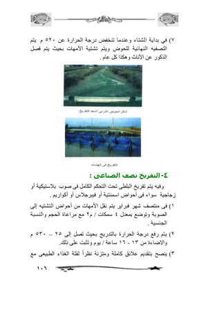 0( في بداية الشتاء وعندما تنخفض درجة الحرارة عن 511 م يتم 
التصفيه النهائية للحوض ويتم تشتية الأمهات بحيث يتم فصل 
الذكور عن الأناث وهكذا كل عام . 
-4 التفريخ نصف الصناعى : 
وفيه يتم تفريخ البلطى تحت التحكم الكامل فى صوب بافستيكية أو 
116 
زجاجية سواء فى أحواض اسمنتية أو فيبرجافس أو أكواريم . 
2( فى منتصف شهر فبراير يتم نقل الأمهات من أحواض التشتيه إلى 
الصوبة وتوضع بمعدل 4 سمكات / م 1 مع مراعاة الحجم والنسبة 
الجنسية . 
531 م – 1( يتم رفع درجة الحرارة بالتدريج بحيث تصل إلى 15 
26 ساعة / يوم وتثبت على ذلك. - والاضاءة من 23 
3( ينصح بتقديم عافئق كاملة ومتزنة نظراً لقلة الغذاء الطبيعى مع 
 