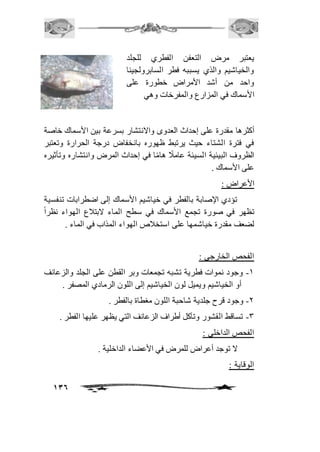 136 
يعتبر مرض التعفن الفطري للجلد 
والخياشيم والذي يسببه فطر السابرولجينا 
واحد من أشد الأمراض خطورة على 
الأسماك في المزارع والمفرخات وهي 
أكثرها مقدرة على إحداث العدوى والانتشار بسرعة بين الأسماك خاصة 
في فترة الشتاء حيث يرتبط ظهوره بانخفاض درجة الحرارة وتعتبر 
الظروف البيئية السيئة عاماًف هامًا في إحداث المرض وانتشاره وتأثيره 
على الأسماك . 
الأعراض : 
تؤدي الإصابة بالفطر في خياشيم الأسماك إلى اضطرابات تنفسية 
تظهر في صورة تجمع الأسماك في سطح الماء لابتافع الهواء نظر اً 
لضعف مقدرة خياشمها على استخافص الهواء المذاب في الماء . 
الفحص الخارجي : 
-2 وجود نموات فطرية تشبه تجمعات وبر القطن على الجلد والزعانف 
أو الخياشيم ويميل لون الخياشيم إلى اللون الرمادي المصفر . 
-1 وجود قرح جلدية شاحبة اللون مغطاة بالفطر . 
-3 تساقط القشور وتآكل أطراف الزعانف التي يظهر عليها الفطر . 
الفحص الداخلي : 
لا توجد أعراض للمرض في الأعضاء الداخلية . 
الوقاية : 
 