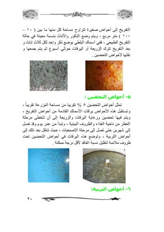 – التفريخ إلى أحواض صغيرة تتراوح مساحة كل منها ما بين ) 21 
211 ( متر مربع ، ويتم وضع الذكور والأناث بنسبة معينة في حالة 
التفريخ الطبيعي ، ففي أسماك البلطي يوضع ذكر واحد لكل ثافث إناث و 
بعد التفريخ تترك الزريعة أو اليرقات حوالي أسبوع ثم يتم جمعها و 
نقلها لأحواض التحضين . 
21 
-5 أحواض التحضين : 
تمثل أحواض التحضين 5 % تقريبا من مساحة المزرعة تقريب اً ، 
وتستقبل هذه الأحواض يرقات الأسماك القادمة من أحواض التفريخ ، 
ويتم فيها تحضين ورعاية اليرقات والزريعة إلى أن تتخطى مرحلة 
الخطر من ناحية الغذاء والظروف البيئية ، وتبدأ من عمر يوم وقد تصل 
إلى شهرين حتى تصل إلى مرحلة الإصبعيات ، حيث تنتقل بعد ذلك إلى 
أحواض التربية ، وتوضع هذه اليرقات في أحواض التحضين تحت 
ظروف مافئمة لتقليل نسبة الفاقد لأقل درجة ممكنة . 
-6 أحواض التربية: 
 