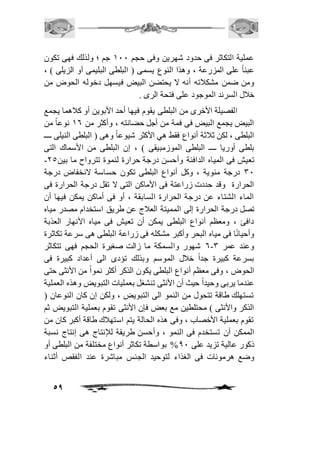 عملية التكاثر فى حدود شهرين وفى حجم 211 جم ؛ ولذلك فهى تكون 
عبئاً على المزرعة ، وهذا النوع يسمى ) البلطى البليمى أو الزيلى ( ، 
ومن ضمن مشكافته أنه لا يحتضن البيض فيسهل دخوله الحوض من 
خافل السرند الموجود على فتحة الرى . 
الفصيلة الأخرى من البلطى يقوم فيها أحد الأبوين أو كافهما يجمع 
البيض يجمع البيض فى فمة من أجل حضانته ، وأكثر من 26 نوعاً من 
البلطى ، لكن ثافثة أنواع فقط هي الأكثر شيوعاً وهى ) البلطى النيلى ــــ 
بلطى أوريا ــــ البلطى الموزمبيقى ( ، إن البلطى من الأسماك التى 
- تعيش فى المياه الدافئة وأحسن درجة حرارة لنموة تترواح ما بين 15 
31 درجة مئوية ، وكل أنواع البلطى تكون حساسة لانخفاض درجة 
الحرارة وقد حددت زراعتة فى الأماكن التى لا تقل درجة الحرارة فى 
الماء الشتاء عن درجة الحرارة السابقة ، أو فى أماكن يمكن فيها أن 
تصل درجة الحرارة إلى المميتة العافج عن طريق استخدام مصدر مياه 
دافئ ، ومعظم أنواع البلطى يمكن أن تعيش فى مياه الأنهار العذبة 
وأحيا نًا فى مياه البحر وأكبر مشكله فى زراعة البلطى هى سرعة تكاثرة 
6 شهور والسمكة ما زالت صغيرة الحجم فهى تتكاثر - وعند عمر 3 
بسرعة كبيرة جداً خافل الموسم وبذلك تؤدى الى أعداد كبيرة فى 
الحوض ، وفى معظم أنواع البلطى يكون الذكر أكثر نمواً من الأنثى حتى 
عندما يربى وحيداً حيث أن الأنثى تنشغل بعمليات التبويض وهذه العملية 
تستهلك طاقة تتحول من النمو الى التبويض ، ولكن إن كان النوعان ) 
الذكر والأنثى ( محتلطين مع بعض فإن الأنثى تقوم بعملية التبويض ثم 
تقوم بعملية الأخصاب ، وفى هذه الحالة يتم استهافك طاقة أكبر كان من 
الممكن أن تستخدم فى النمو ، وأحسن طريقة للإنتاج هى إنتاج نسبة 
ذكور عالية تزيد على 01 % بواسطة تكاثر أنواع مختلفة من البلطى أو 
وضع هرمونات فى الغذاء لتوحيد الجنس مباشرة عند الفقص أثناء 
59 
 