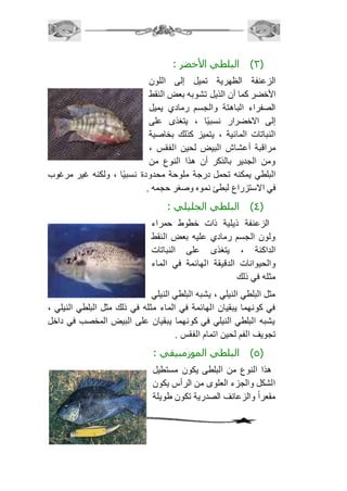 62 
3( البلطي الأخضر : ( 
الزعنفة الظهرية تميل إلى اللون 
الأخضر كما أن الذيل تشوبه بعض النقط 
الصفراء الباهتة والجسم رمادي يميل 
إلى الاخضرار نسبيًا ، يتغذى على 
النباتات المائية ، يتميز كذلك بخاصية 
مراقبة أعشاش البيض لحين الفقس ، 
ومن الجدير بالذكر أن هذا النوع من 
البلطي يمكنه تحمل درجة ملوحة محدودة نسبيًا ، ولكنه غير مرغوب 
في الاستزراع لبطئ نموه وصغر حجمه . 
4( البلطي الجليلي : ( 
الزعنفة ذيلية ذات خطوط حمراء 
ولون الجسم رمادي عليه بعض النقط 
الداكنة ، يتغذى على النباتات 
والحيوانات الدقيقة الهائمة في الماء 
مثله في ذلك 
مثل البلطي النيلي ، يشبه البلطي النيلي 
في كونهما يبقيان الهائمة في الماء مثله في ذلك مثل البلطي النيلي ، 
يشبه البلطي النيلي في كونهما يبقيان على البيض المخصب في داخل 
تجويف الفم لحين اتمام الفقس . 
5( البلطي الموزمبيقي : ( 
هذا النوع من البلطى يكون مستطيل 
الشكل والجزء العلوى من الرأس يكون 
مقعراً والزعانف الصدرية تكون طويلة 
 