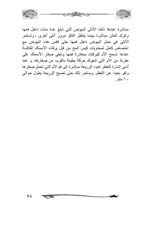 مباشرة عندها تأخذ الأنثى البيوض التي تبلغ عدة مئات داخل فمها 
وتترك العش مباشرة بينما ينتظر الذكر مرور أنثى أخرى ، وتستمر 
الأنثى في حمل البيوض داخل فمها حتى فقس هذه البيوض مع 
امتصاص كامل لمحتويات كيس المح من قبل يرقات الأسماك الفاقسة 
عندها تسمح الأم لليرقات بمغادرة فمها وتبقى صغار الأسماك على 
مقربة من الأم التي تتحرك حركة بطيئة بالقرب من صغارها، و عند 
أدنى إشارة للخطر تعود الزريعة مباشرة إلى فم الأم التي تحمل صغارها 
وتفر بعيداً عن الخطر ويستمر ذلك حتى تصبح الزريعة بطول حوالي 
98 
21 ملم . 
 