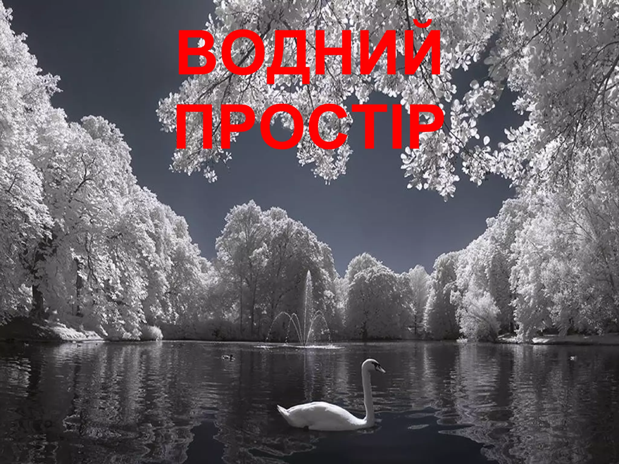 ВОДНИЙ 
ПРОСТІР 
 